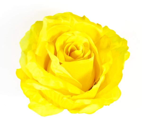 Насадка розы "Нива"