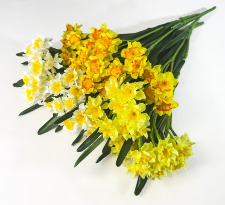 Нарцисс 28 цветков