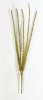 Букет Колос 5 веток золото