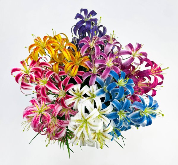 Лилия "Саранка" 9 цветков