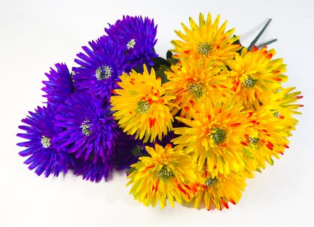 Астра "Супер гигант" 13 цветков