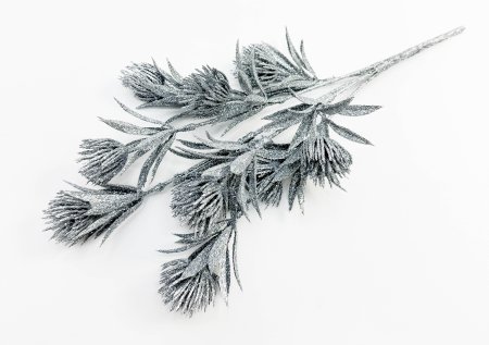 Василистник серебро