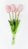 Тюльпан "Корона весны" нежно-розовый