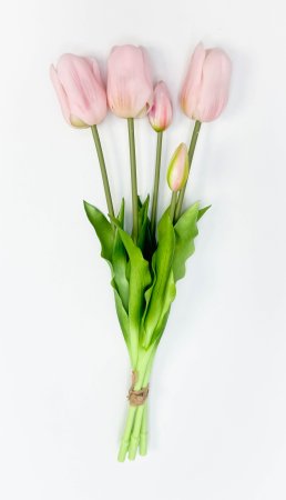 Тюльпан "Корона весны" нежно-розовый