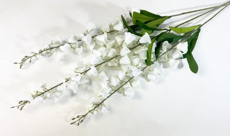 Наперстянка белая
