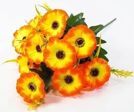 Тунбергия 12 цветков от магазина KALINA являющийся официальным дистрибьютором в России 