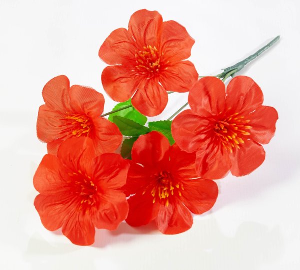 Лилия 5 веток