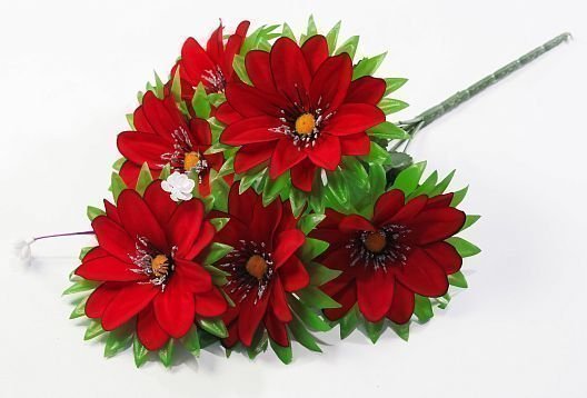 Бархатный георгин "Пико малая" 6 цветков от магазина KALINA являющийся официальным дистрибьютором в России 