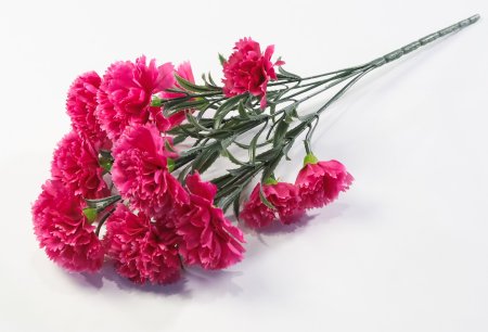 Букет гвоздик "Вечная память"