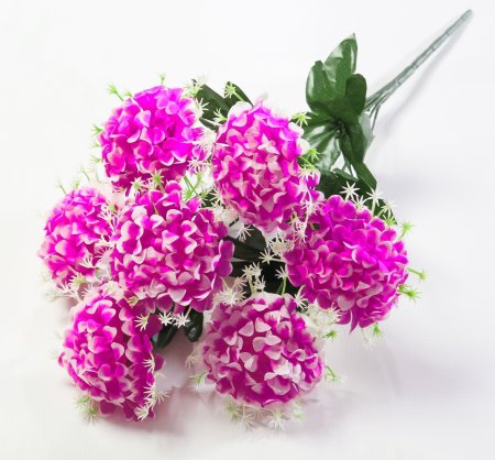 Шафран "Лиза" 7 цветков