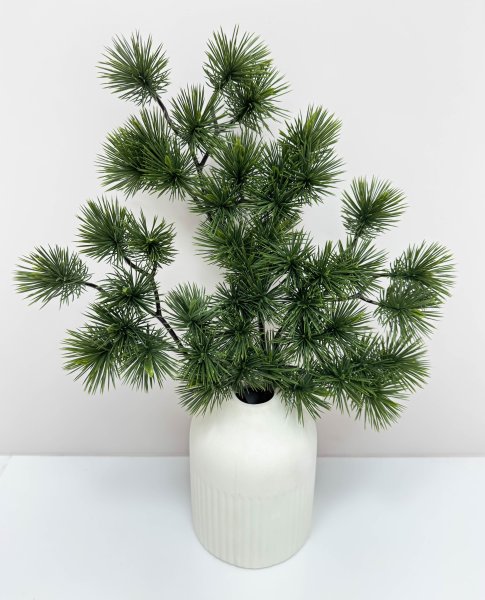 картинка Сосна бонсай темный с крупной хвоей от магазина KALINA