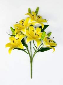 Лилия "Ферреро" 6 цветков