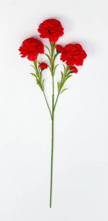 Гвоздика "Вояж" 3 цветка 3 бутона