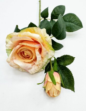 Роза "Булевард" персиковая