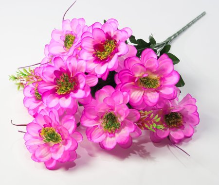 Георгин "Василиса" 9 цветков