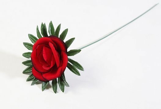 Роза бархатная с черной каймой от магазина KALINA являющийся официальным дистрибьютором в России 