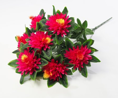 Хризантема "Ариадна" 7 цветков