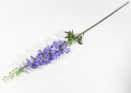 Ветка дельфиниума лавандовая