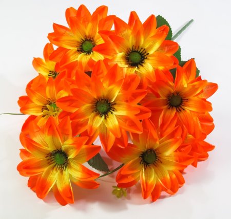 Астра "Жилка крупная" 9 цветков