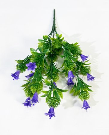 Колокольчик полевой 7 веток