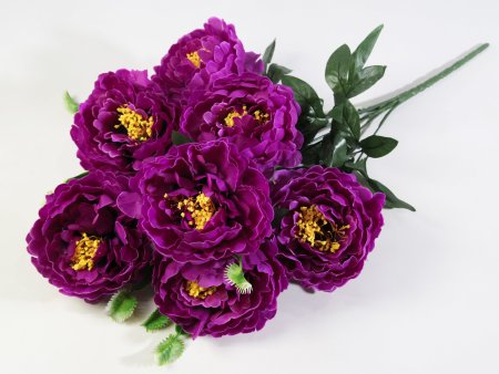 Букет пиона "Сапфир" 7 цветков