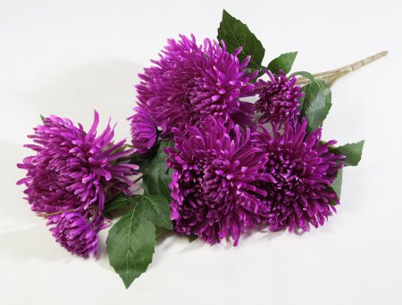 Ветка хризантем "Зембла" 5 цветков 2 бутона