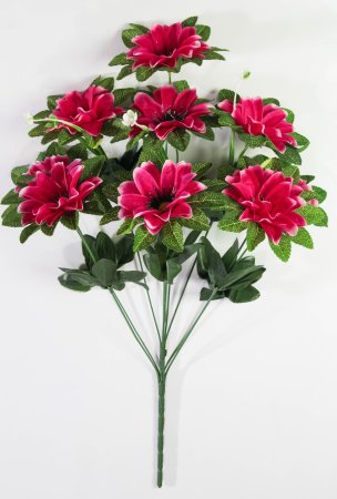 Георгин "Дуэт" 9 цветков 