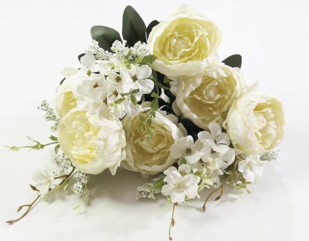 Пион "Фата" 13 веток