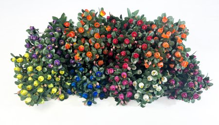 Роза "Бомонд" мелкая 18 веток