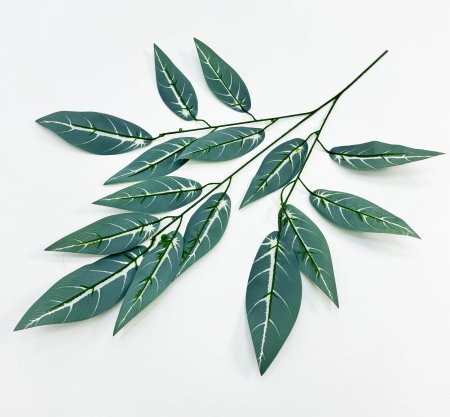 картинка Лист кротона с белой жилкой от магазина KALINA