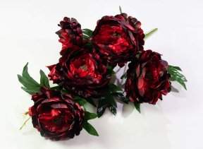 c98be077b8eb30eac2ee9e198f44c317