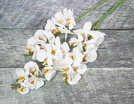 Ветка орхидеи 11 от магазина KALINA являющийся официальным дистрибьютором в России 