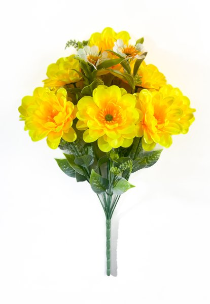 Георгин "Весенний день" 8 цветков