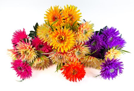 Астра Коллистар 9 цветков