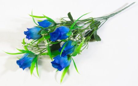 Роза Сольфеджио 6 цветков