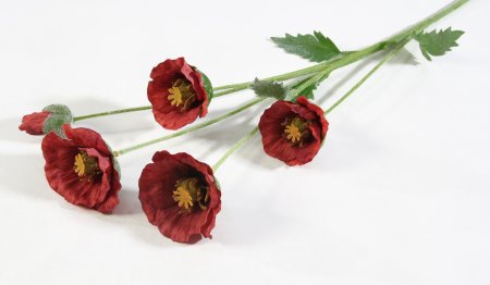 Ветка маков