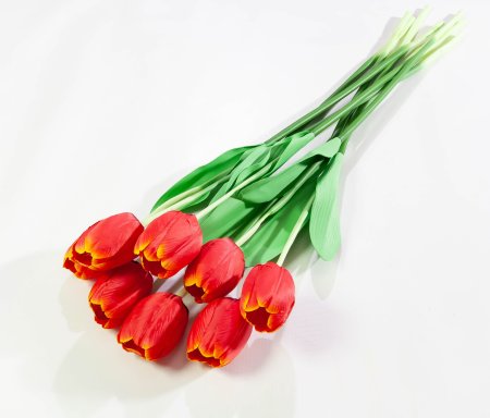 962226ec0dfa7b11bbe7227be0ed0556