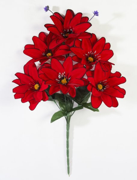 Букет георгина "Амстердам" 6 цветков