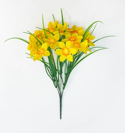 Нарцисс "Клумба" 20 цветков