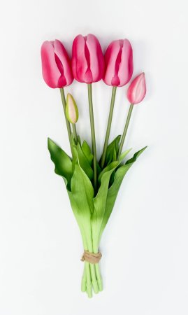 Тюльпан "Корона весны" розовый