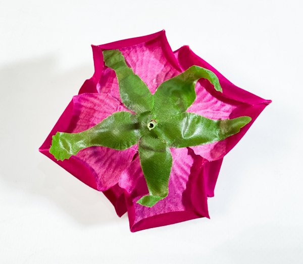 Насадка розы "Эстер" малиновый бархат