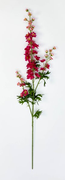 Дельфиниум малиновый