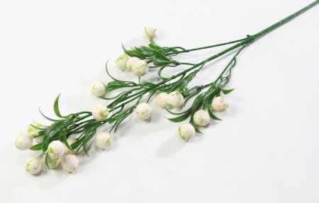 Ветка крупных белых ягод