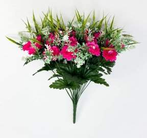 Цинния 24 цветка