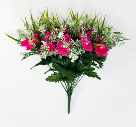 Цинния 24 цветка