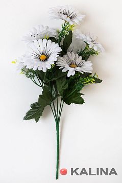 Букет ромашек "Реснички Блеск" 6 веток 6 цветков от магазина KALINA являющийся официальным дистрибьютором в России 