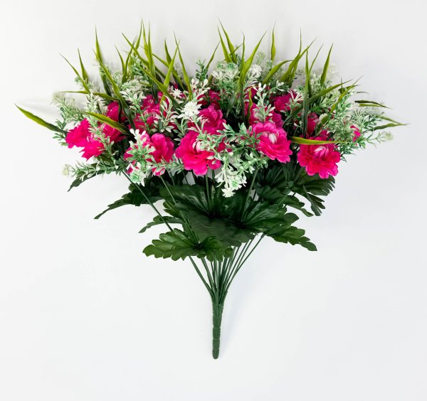 Цинния 24 цветка