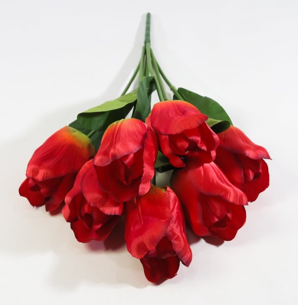 Тюльпаны крупные 7 цветков