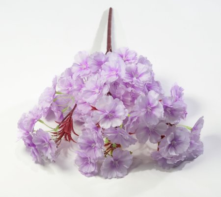 Букет яблони "Майя" 5 веток