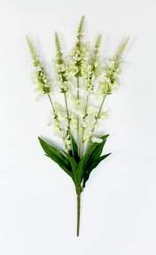 Шалфей дубравный белый 5 соцветий